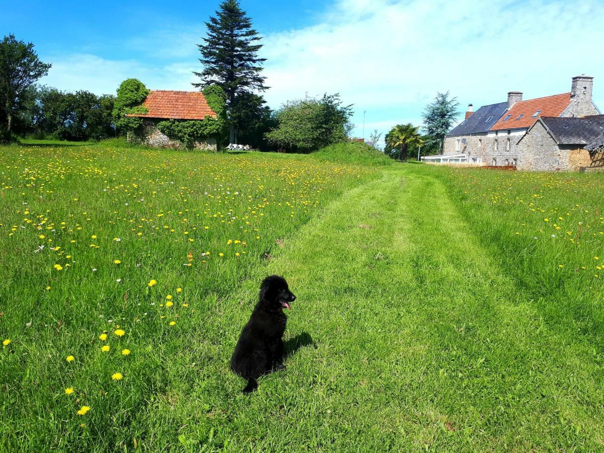 L' Anpeg, Gite Dans Le Cotentin Jusqu'A 8 Personnes Besneville Exteriér fotografie